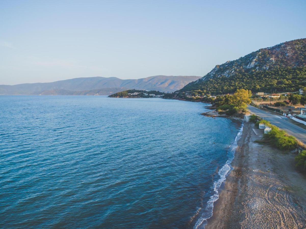 Lemoni Luxury Residence In Front Of The Sea Kechries エクステリア 写真